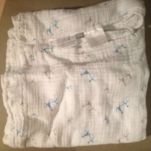 Aden and Anais Swaddle Blanket